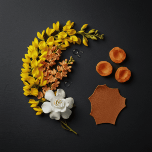 Komposition seltener Blumen (gelber Ginster, orangefarbener Osmanthus, weiße Gardenie), die die komplexen floralen Noten in der Parfümerie illustrieren.