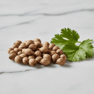 Dried coriander seeds and fresh leaves, illustrating the spicy and citrus note used in masculine and feminine perfumery.