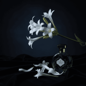 White tuberose flowers blooming under the moon, illustrating the narcotic and nocturnal character of this flower in perfumery.