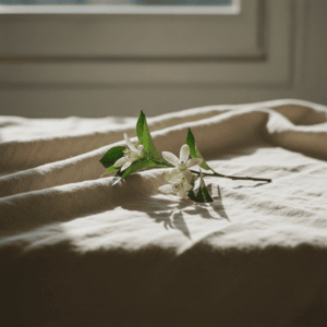 朝の光に包まれたオレンジブロッサムの枝。春にふさわしい香水選びと季節の訪れを象徴するイメージ